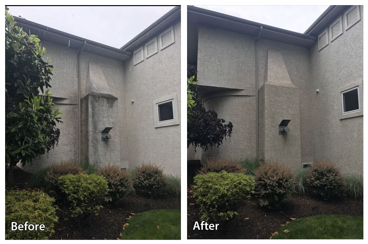 before-and-after-stucco